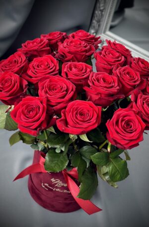 Rote Rosenbox Porta Nova 19st