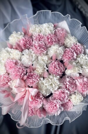 Nelken Strauß in weiß-rosa