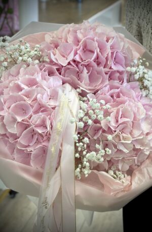 Hortensien rosa Verena 3st