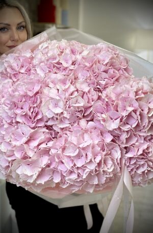 Hortensien rosa Verena 10st