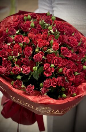 Rote Spray Rosen 30st