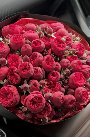 Rote Rosen in schwarz Red Piano 39st