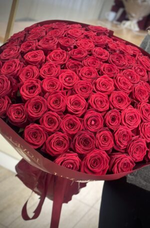 Rote Rosen in rot 80 St