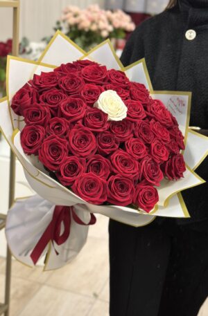 Rote Rosen mit eine weiße in weiß 51 St