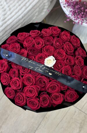 Rote Rosen mit eine weiße in schwarz 51 St